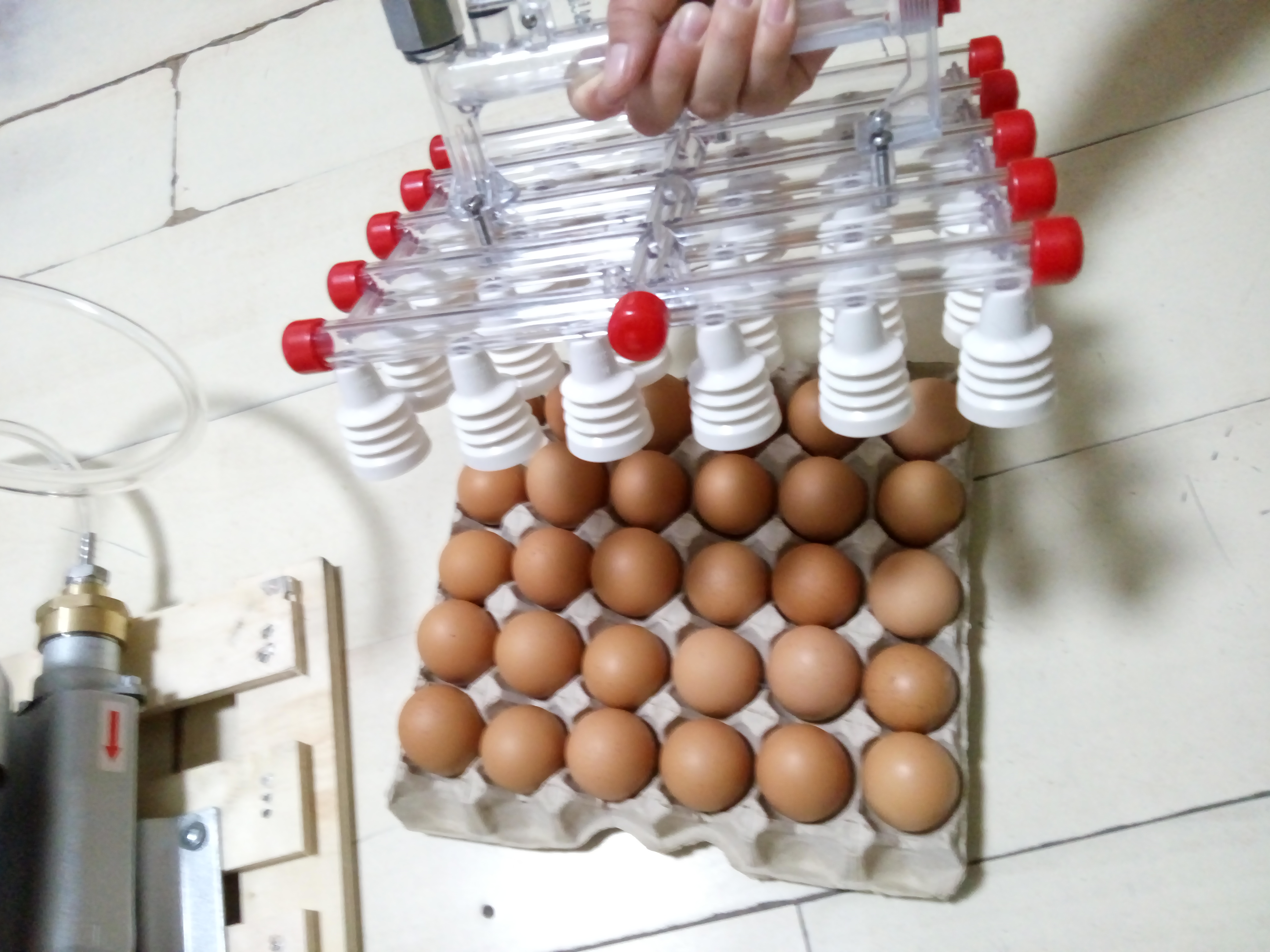 30 Egg Vacuum Picker