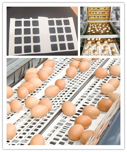 Perforated Egg Conveyor Belts For Automatic Layer Nest Box.